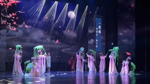 話劇我來演，宋韻你來品 溫州市精品劇目展演精彩上演