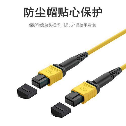 mpo-s2-b1 12芯mpo-mpo光纖跳線母頭b極性兼容mtp